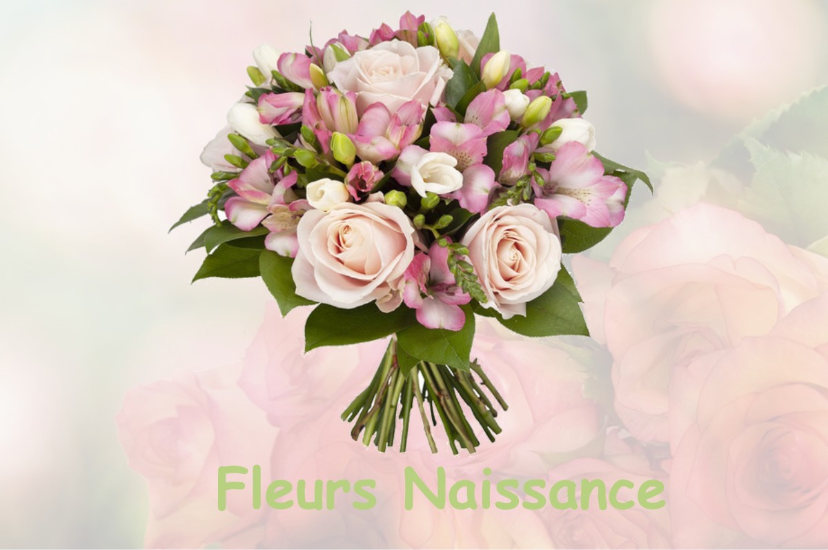 fleurs naissance LE-BOUCHET-SAINT-NICOLAS