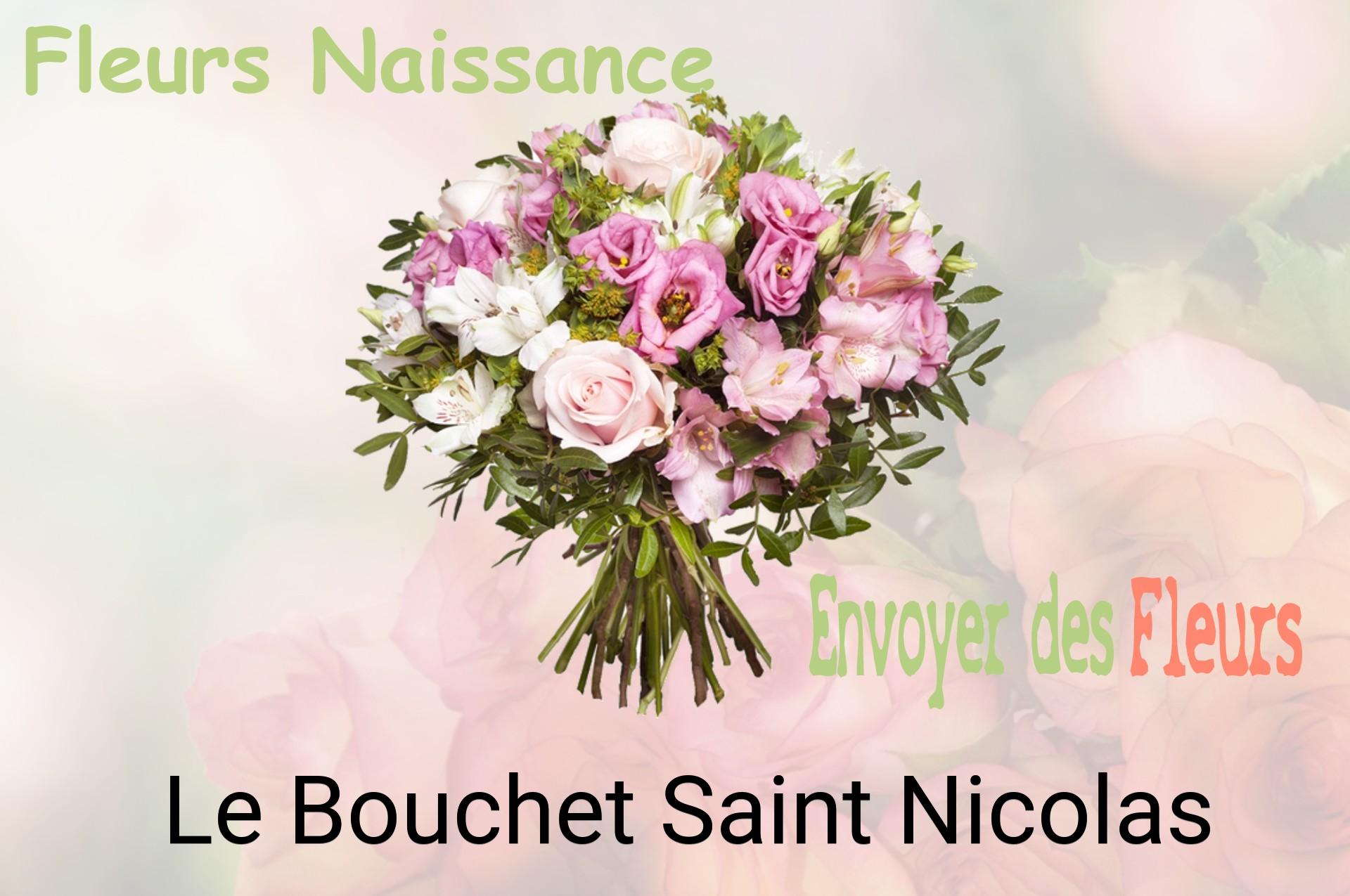Bouquet de fleurs de naissance livré à Le Bouchet-Saint-Nicolas